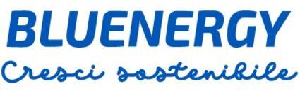 logo bluenergy
