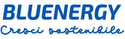 logo bluenergy